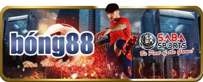 Khuyến mãi hoàn trả hàng ngày cho cá cược thể thao